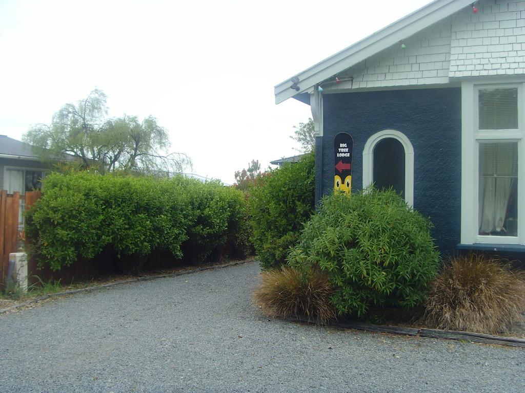Big Tree Lodge Methven Bagian luar foto